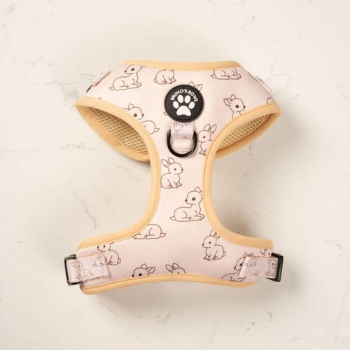 Bruno bows thumper - bows,