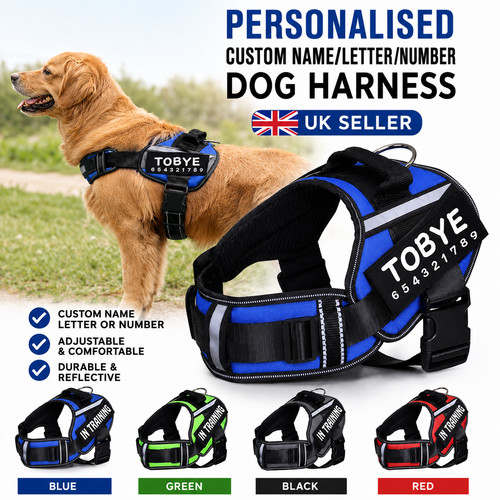 Personalized dog harness - personalized,