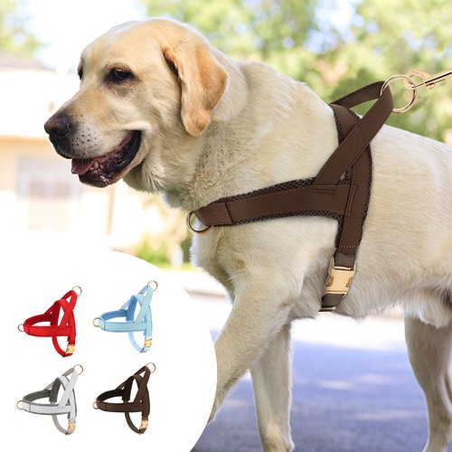 Pull dog harness - no,