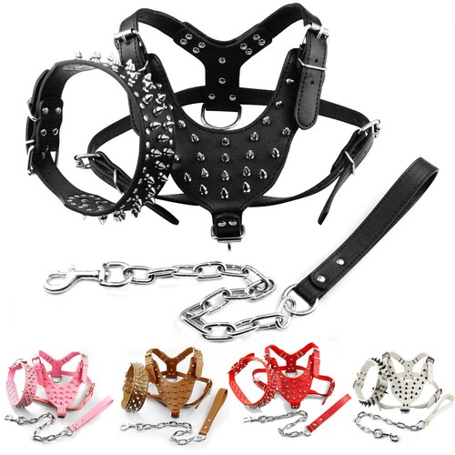 For pitbulls boxer - boxer, rottweiler