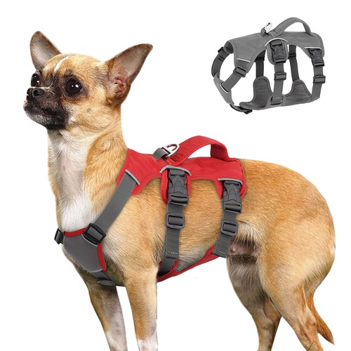 Reflective escape proof dog - proof,