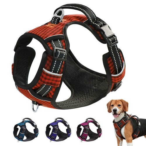 Reflective pull dog - no,