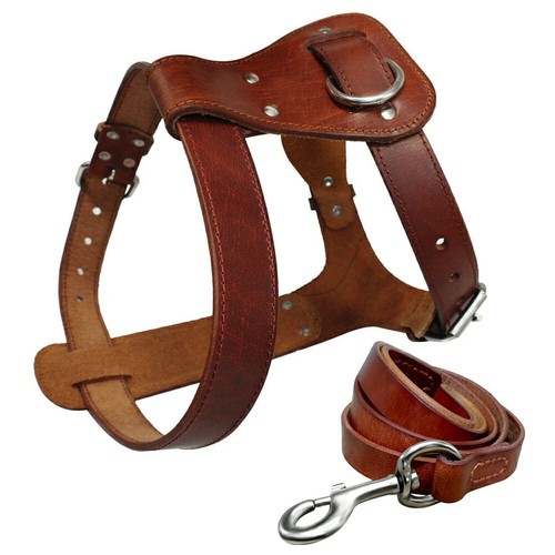 Leather dog harness - leather,