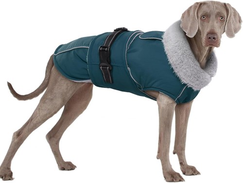Xxl dog coat warm jackets - xxl, coat,