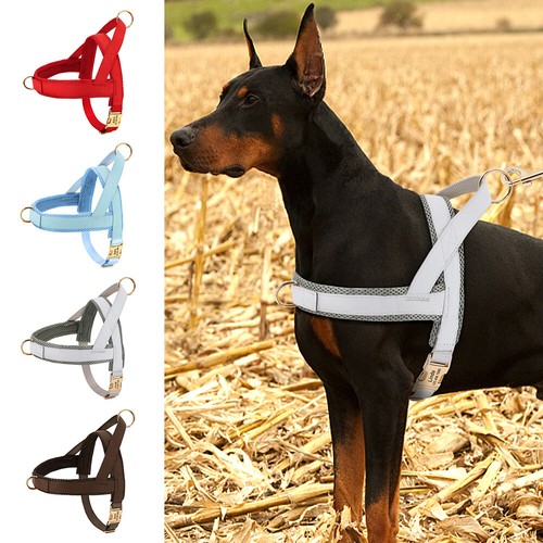 Pull personalised dog - pull,