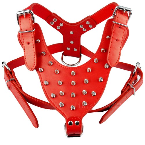 Spiked studded leather - studded, dog