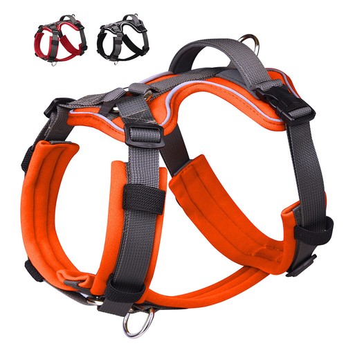 Soft padded nylon pet - soft,