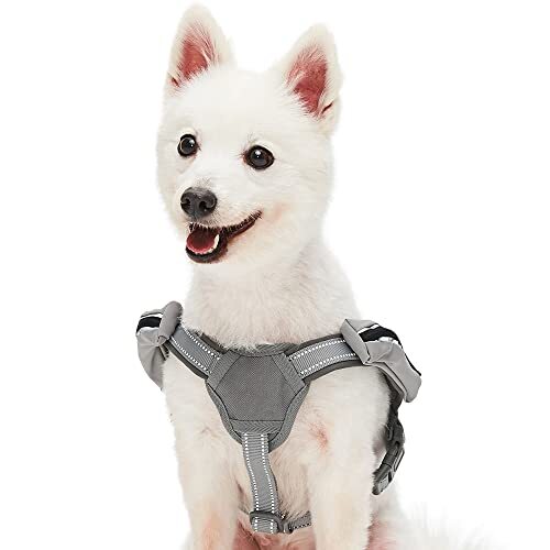 Umi reflective neoprene - reflective, neoprene-padded