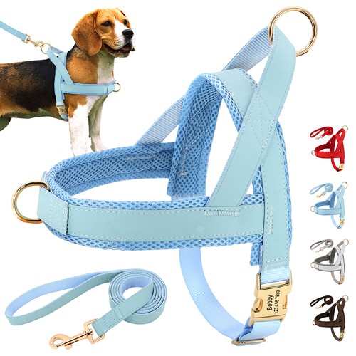 Custom pull dog harness and - no,