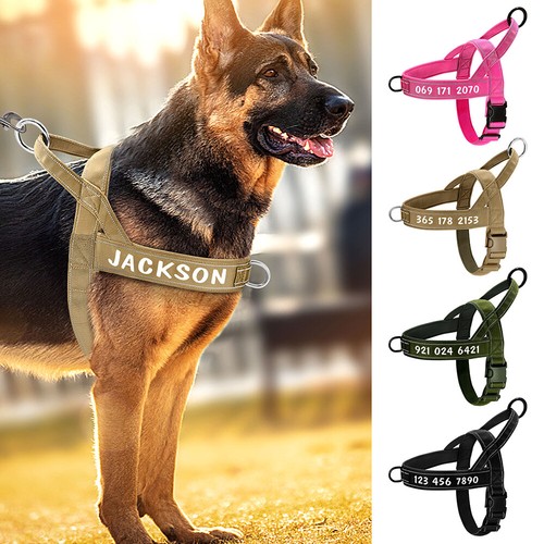 Pull dog harness handle - dog,