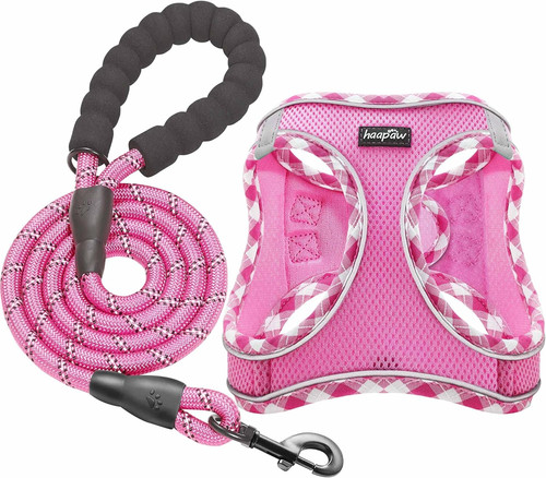Dog harness and lead set - dog,