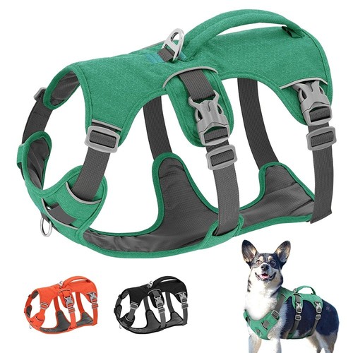 Escape proof dog harness - proof, no