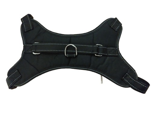 New pull dog - new,