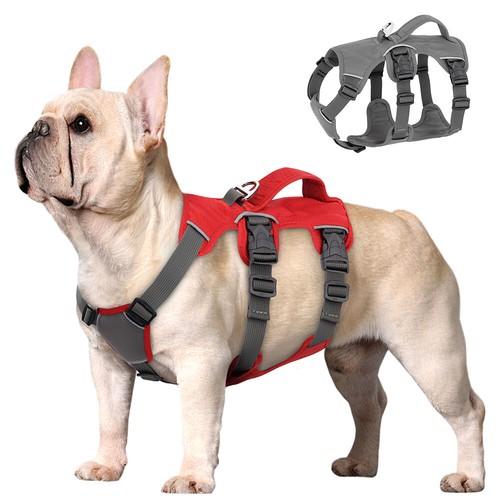 Escape proof dog - harness, non