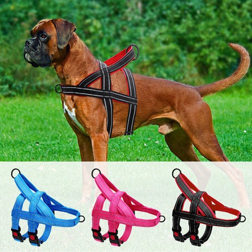 Pull dog harness - no,