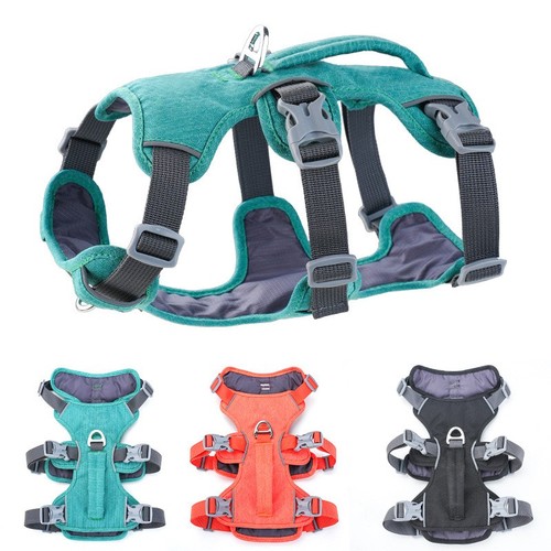 Escape proof dog - proof, harness