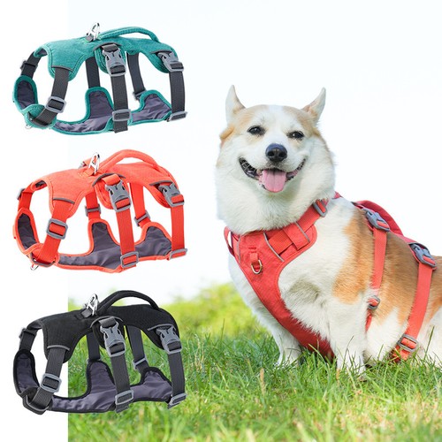 Escape proof dog harness - proof,