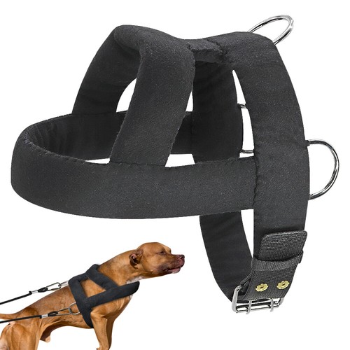 Dog weight pulling - dog,