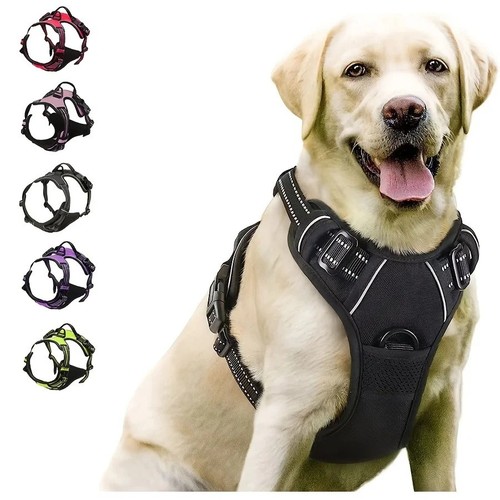 Rabbitgoo pull pet dog - rabbitgoo, no-pull