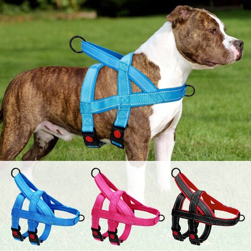 Dog harness front clip - dog,