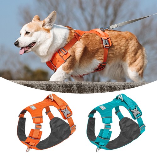 Pull dog harness - pull, handle
