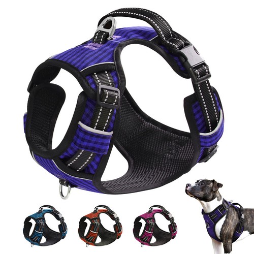 Dog harness pull for - dog, small