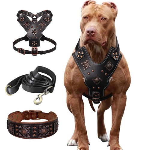 3pcs genuine leather dog - leather,