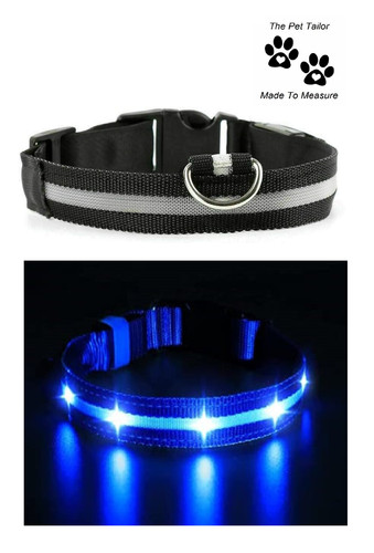 Boxer dog led collar - boxer,