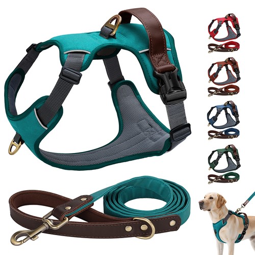 Pull dog vest - no, harness