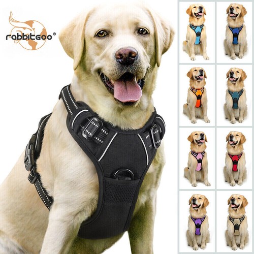 Rabbitgoo pull pet - pet, dog