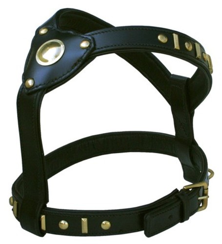 Leather harness knight g - harness,