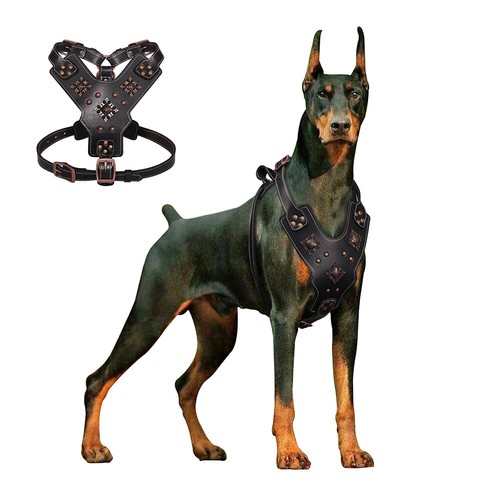 Genuine leather studded dog - leather,
