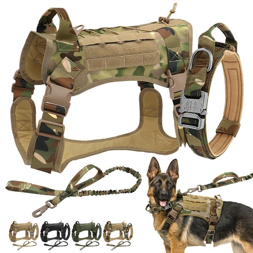 Military tactical dog training - military,
