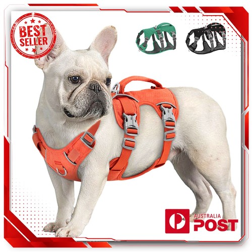 Escape proof pull dog - escape,