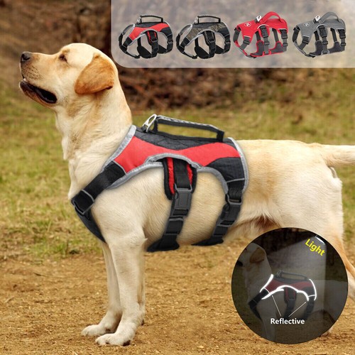 Escape proof dog harness - proof,