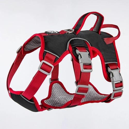 Escape proof dog - dog, harness