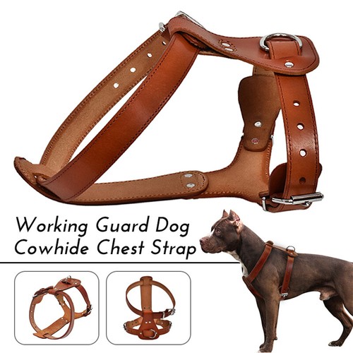 Genuine leather dog - leather,