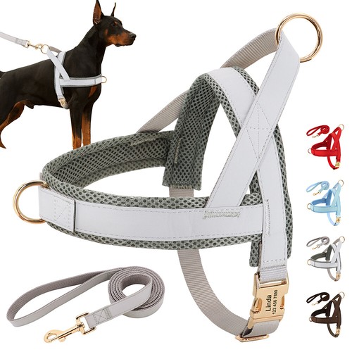 Personalised pet dog - personalised, harness