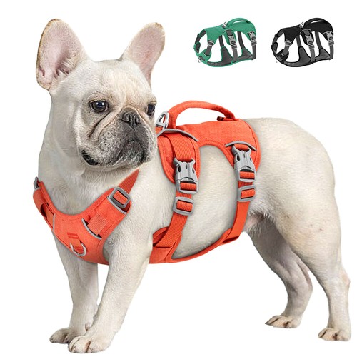 Escape proof pull dog - no,