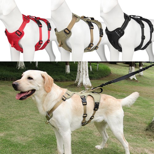 Escape proof dog harness - dog, no