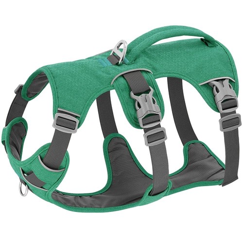 Escape proof reflective dog - proof,
