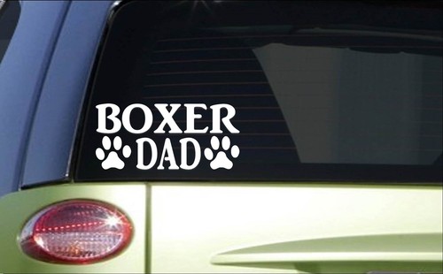 Boxer dad h790 8 - boxer, inch