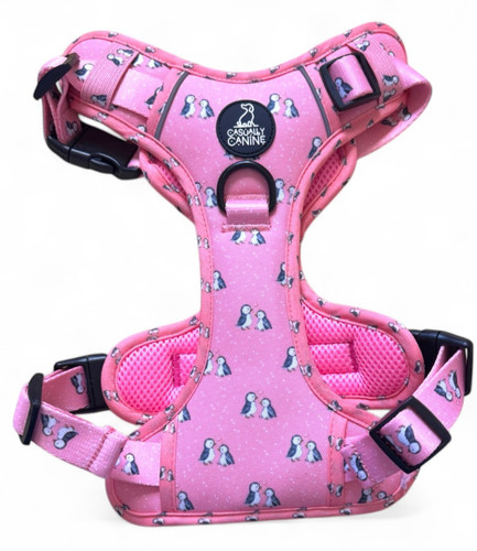 Dog harness with handle